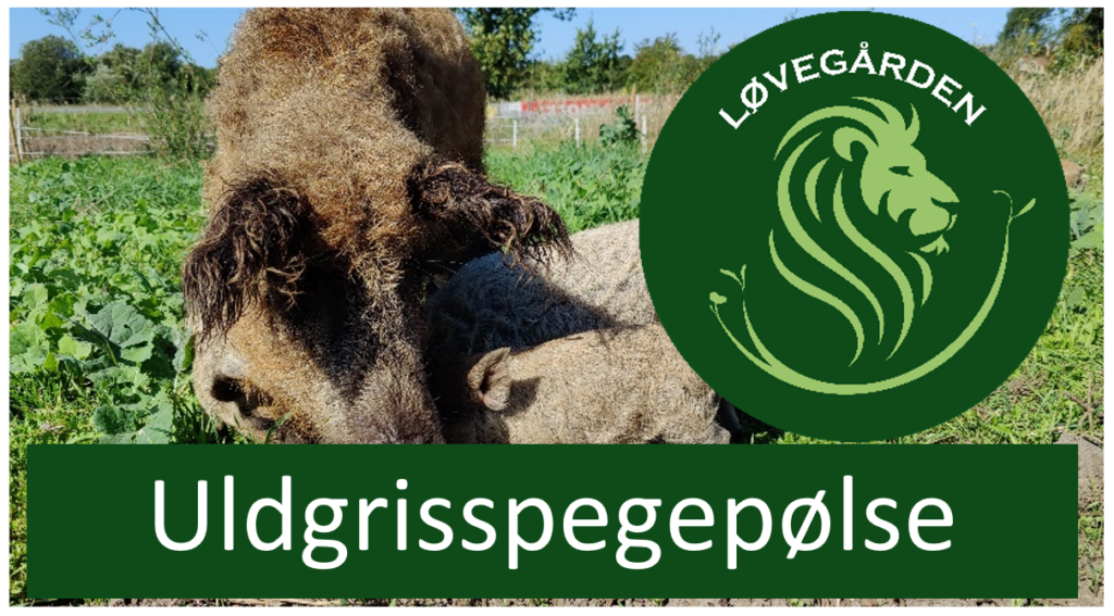 Uldgrisspegepølse