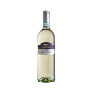 Campagnola Pinot grigio