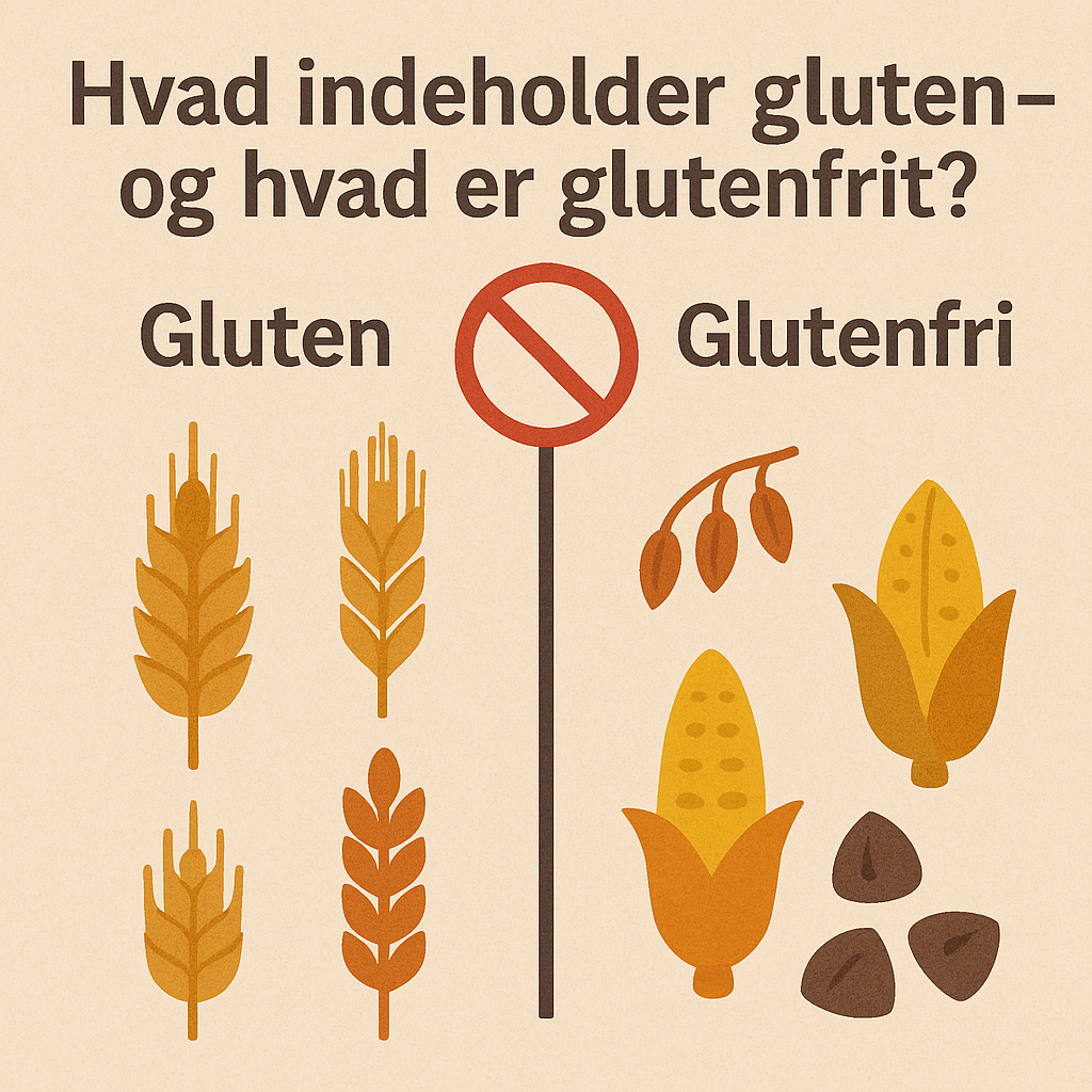 Hvad indeholder gluten?